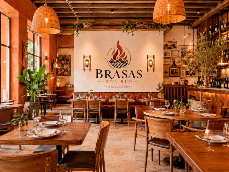 Brasas del Sur